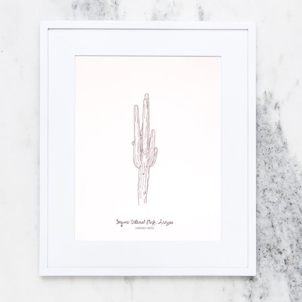 saguaro cactus line drawing