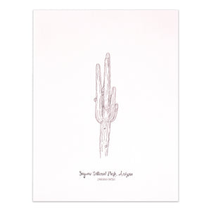 Saguaro Cactus Print