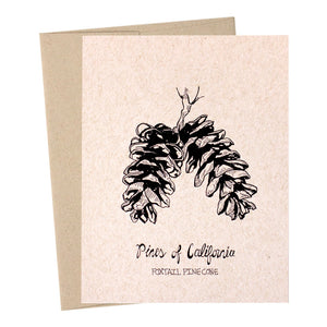 Pines of Cailfornia Collection